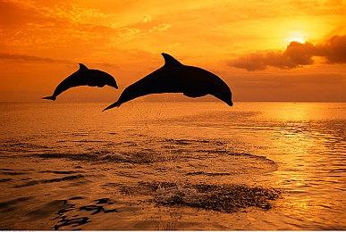 《杀手3》七宗罪DLC第六弹“嫉妒”预告 9月28日上线