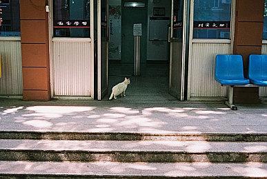 《没有被美女包围的三角恋》正式发售 首发9.35元促销